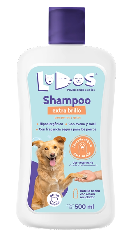 ludos shampoo extra brillo